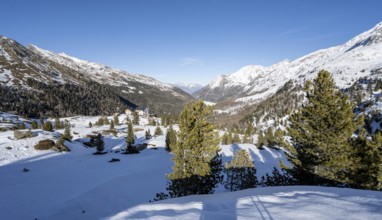 Zufallhütte mountain hut, view of the Martell Valley, snow-covered mountain landscape in winter,