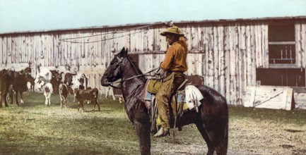 Cowboy throwing lariat, Colorado, United States of America, USA, digitally restored reproduction