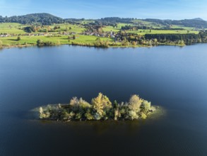 Lake Rottachsee, island, village Petersthal, autumn, aerial view, Allgaeu, Bavaria, Germany, Europe