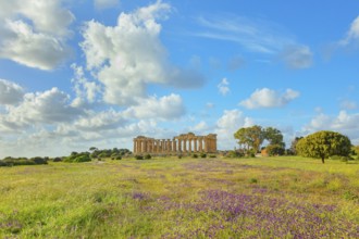 Temple of Hera or Temple E, Selinunte Archaeological Park, Selinunte, Trapani district, Sicily,