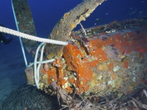 Close-up of an aircraft wreck from the Second World War under water, dive site aircraft wreck