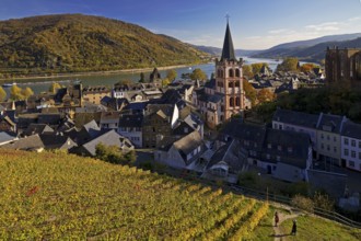 Autumn view of Bacharach on the Rhine with St. Peter's Church, UNESCO World Heritage Upper Middle