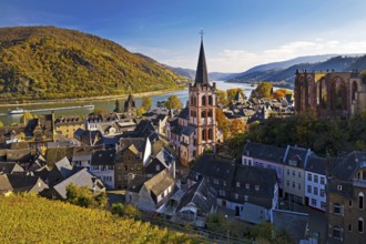 Autumn view of Bacharach on the Rhine with St. Peter's Church, UNESCO World Heritage Upper Middle