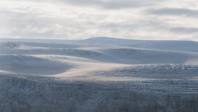 Snow and glacier ice of the Myrdalsjökull glacier in the evening light, Pakgil, Iceland, Europe