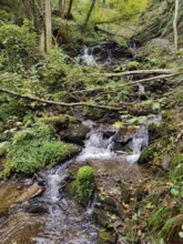 Small waterfall in the Hölzbachklamm gorge, municipality of Morbach, Hunsrück,