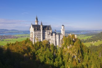 Neuschwanstein Castle rises above the wide, green landscape, Schwangau, Ostallgäu, Allgäu, Swabia,