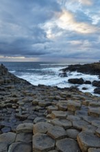 Rocky coast with basalt columns, coastline, dusk by the sea, Giant's Causeway, Giants Causeway,