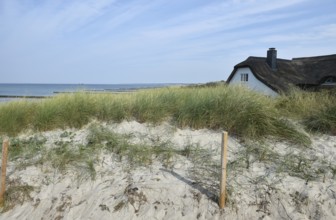 Thatched-roof house on the dunes of the Baltic Sea in Ahrenshoop, Mecklenburg-Vorpommern, Germany,