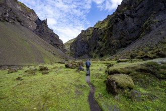 Hiking trail through a green moss-covered gorge, enchanted volcanic landscape, Pakgil, Iceland,