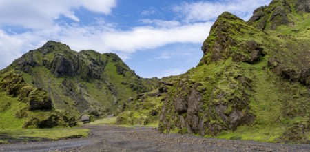 Stream bed in a green moss-covered gorge, enchanted volcanic landscape, Pakgil, Iceland, Europe