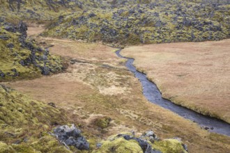 Landscape north of Arnarstapi, Vesturland, West Iceland, lava rocks, moss, Snæfellsjökull,