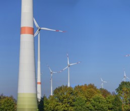 Wind turbines, blue sky, Schönberg, Mecklenburg-Western Pomerania, Germany, Europe