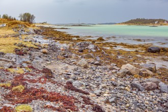 Landscape near Straumsnes on the island of Senja in Norway