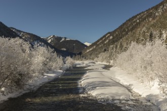 The Riss creek flowing through a snow covered landscape in the Eng valley. Sunny day with blue sky