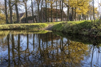 Pond at the farm Ponyhof Schleithoff, Havixbeck, Münsterland, North Rhine-Westphalia, Germany,