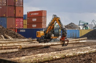 Cologne, North Rhine-Westphalia, Germany - Port of Cologne Niehl, logs are loaded into containers