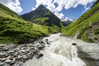 Isel mountain stream in the Umbaltal valley, Venediger Group, Hohe Tauern National Park, East