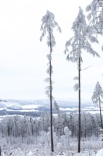 View from Czorneboh of Cunewalde and the Lusatian Mountains in winter, Upper Lusatia, Saxony,