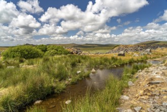 Stream in the landscape of Dartmoor, Devon, England, Great Britain