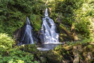 The Triberg Waterfalls, Triberg in the Black Forest, Baden-Württemberg, Germany, Europe