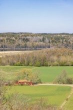 Red house in a rural landscape view with lush green trees at spring, Sweden, Europe