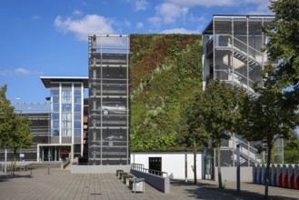 Bottrop, North Rhine-Westphalia, Germany, Wall-mounted façade greening at the P+R car park at