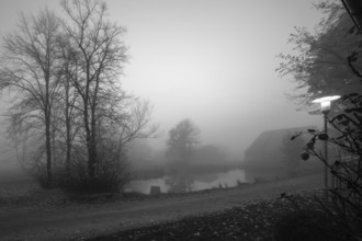 Early morning fog on an estate Othenstorf, Mecklenburg-Western Pomerania, Germany, Europe