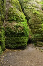 The Dragon Gorge, a gorge and geological natural monument and nature reserve in the Marienschlucht