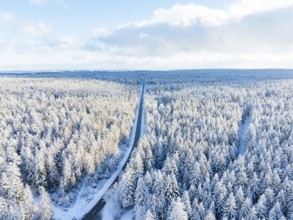 Endless snow-covered forest landscape with straight road to the horizon, Bad Wildbad, district of