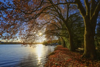 Essen, North Rhine-Westphalia, Germany - Golden autumn on Lake Baldeney