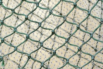 Fishing nets, close-up, North Sea, Greetsiel, Lower Saxony, Germany, Europe