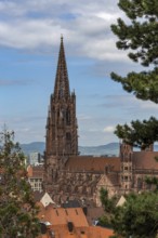 City of Freiburg im Breisgau, Church, Freiburg Minster, Germany, Europe