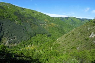 View of the Vivarais mountains from the rise of Col de la Chavade. Ardeche. Auvergne-Rhone-Alpes.