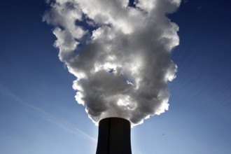 Cooling tower of KNG, Kraftwerks- und Netzgesellschaft mbH. The coal-fired power plant generates