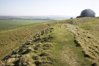 Defensive ditch and rampart at Barbury Castle Country Park, Iron Age hill fort, Wiltshire, England,