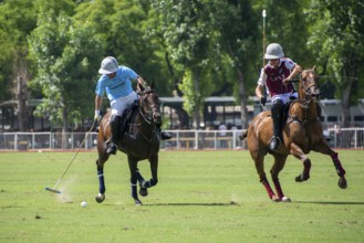 Scene from the 131st Argentine Open Polo Championship (Spanish: Campeonato Argentino Abierto de