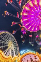 Chain carousel and Ferris wheel in the evening. 177th Cannstatter Volksfest at the Cannstatter