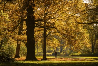 The Great Garden in Dresden is a park of Baroque origin. The Great Garden has been remodelled many