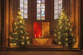 Chancel with two Christmas trees, altar, Christmas decorations, Christmas time, interior view,