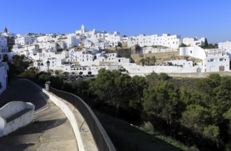 Pueblo blanco historic village whitewashed houses on hillside, Vejer de la Frontera, Cadiz