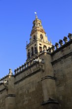 Cathedral belfry bell tower, Toree del Laminar, Great Mosque, Cordoba, Spain, Europe