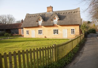 Pretty ochre coloured historic thatched cottage in the village of Ufford, Suffolk, England, United