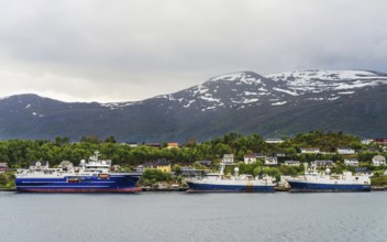 Ships in the fjord, ALESUND, Geirangerfjord, Fjords, Norway, Europe