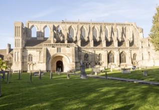 Malmesbury abbey church, Malmesbury, Wiltshire, England, UK