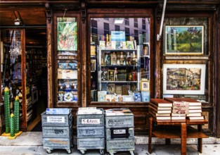 Jewish quarter with its antique shops, Trieste, harbour town on the Adriatic, Friuli, Italy,