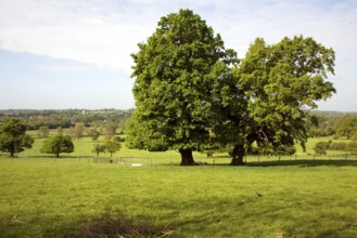 View over Dedham Vale to Dedham, River Stour valley from near Flatford, Suffolk, England, United