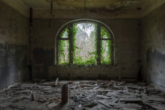 Broken window with green climbing plant, Beelitz-Heilstätten, former lung sanatorium, from 1945 to