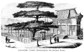 Japanese temple with sacred tree, Shinto religion, Japan, historical illustration 1880, Asia