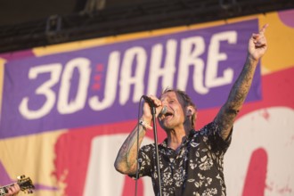 Ingo Knollmann, singer of the Donots at the Highfield Festival on Friday, Störmthaler See, 16.08