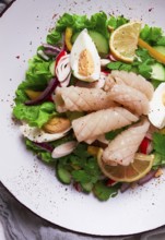 Salad of squid and vegetables, with egg, homemade, no people